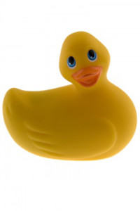 canard