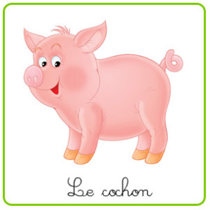 cochon-copie-1.jpg