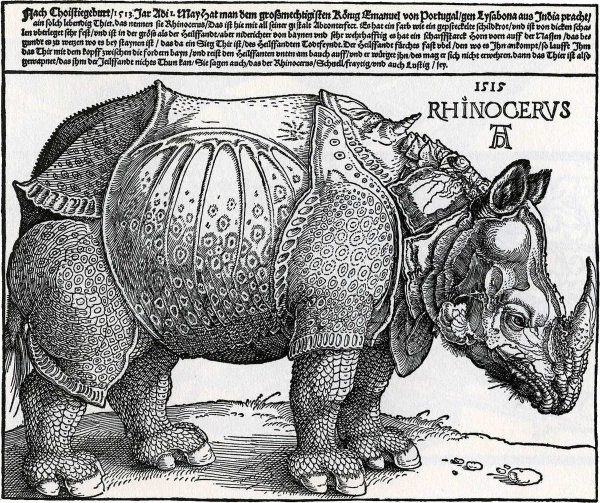 Rhinocerus