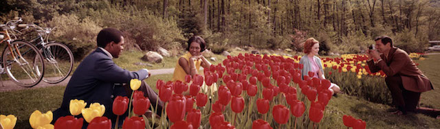 Sterling_Gardens_Tuxedo_New_York_1969_Colorma_319_i_Kodak__copie
